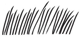Windy Grass (1291h)