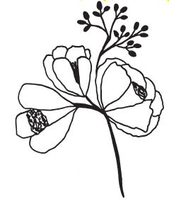 Posie (1412g)