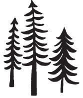 woodland trees (1439g)