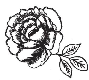 Graphic Camellia (1538i)