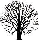 3004D - bare tree