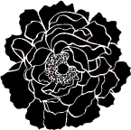 5132D - solid peony