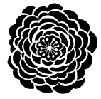 5268d - camellia solid