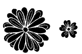 5274D - small graphic mum w/flower