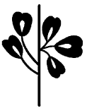 5275D - organic stem