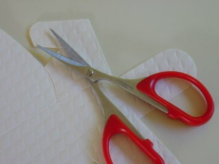 Detail Scissors