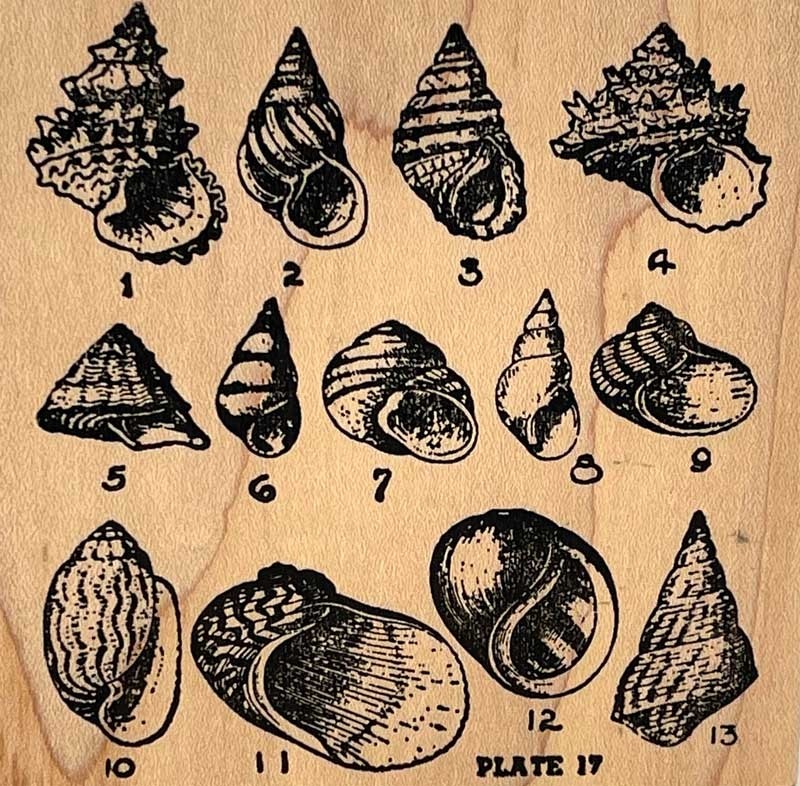 Shell Plate Rubber Stamp