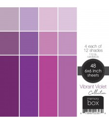 Vibrant Violet 6x6 pack