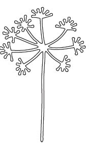 Wishing Flower Die (10090)