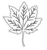 Fall Leaf (10127)