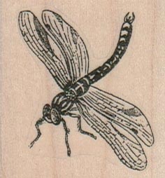 Dragonfly vlvs11416