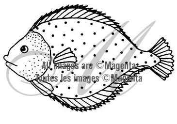 Magenta Polka Dot Fish 12.007.H