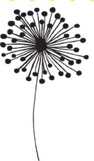 Flower Bloom (1369h)