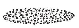 dots rubber stamp (1556d)