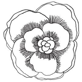 Savvy Rosewood Blossom (1586h)