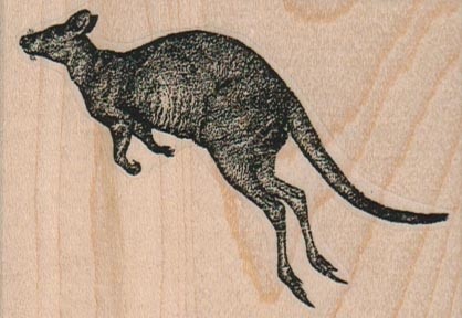 kangaroo vlvs16753