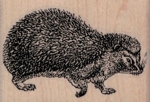 Hedgehog vlvs20291