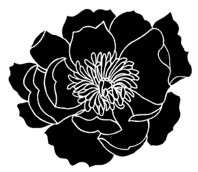 5127G - solid poppy