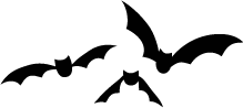 5232D - flying bats