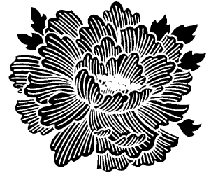 5271G - chrysanthemum solid