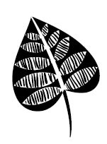 5433C - spade leaf