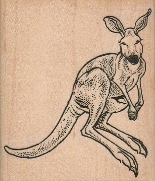 Kangaroo Hopping vlvs5457
