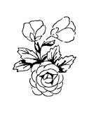 5514c - sweet rose corsage