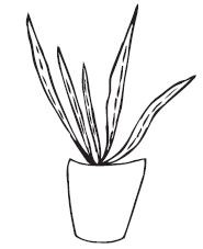 Savvy Stamps Aloe Plant 1641e