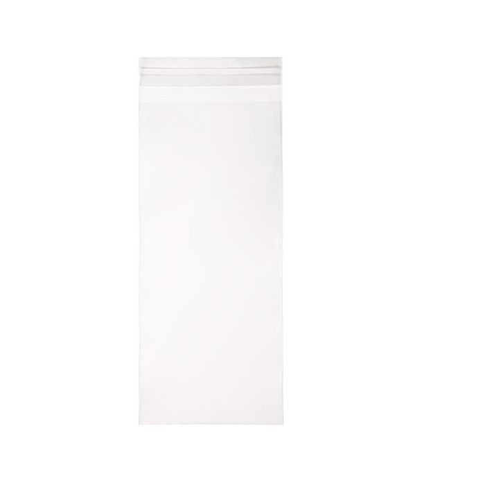 Clear Envelopes - large slim (B49)