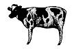 Stampscapes Cow 154B 