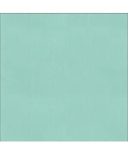 Frosted Teal Pearlized Cardstock
