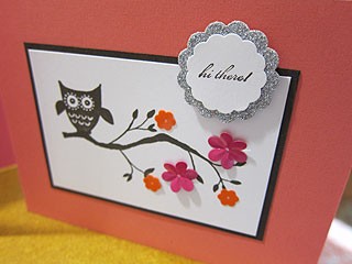 Savvy Owl