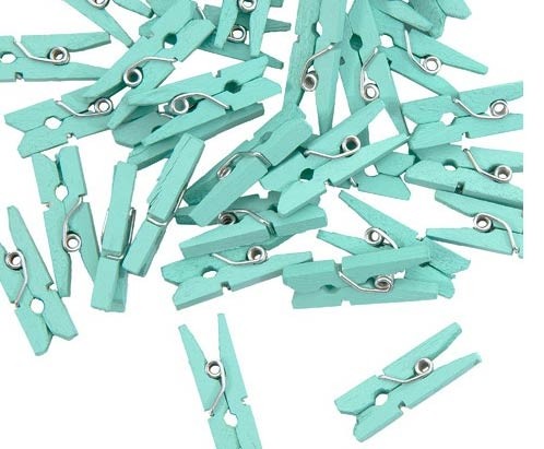 Mini Mint Clothespins