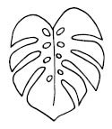 5694c - monstera outline