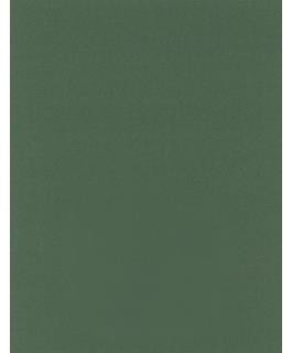 Moss Pearlized Cardstock