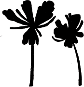 Silhouette Flowers (1037g)